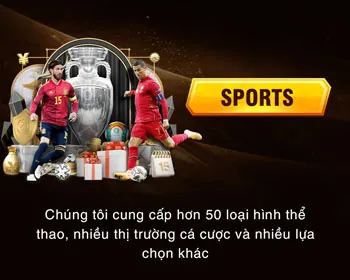 Bảng điều khiển thống kê và phân tích thể thao